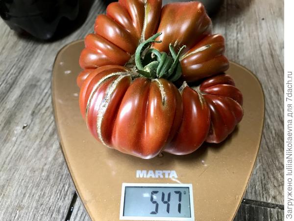 2.08.24. Крупненький