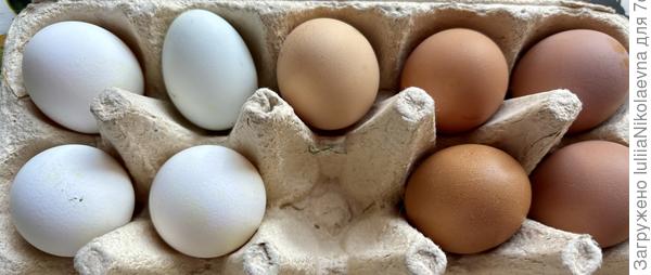 Вот в центре яйцо от одной из рябушек. Пока за сегодня 9 яиц.