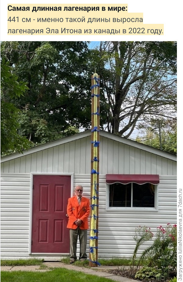 И подлиннее видали😂