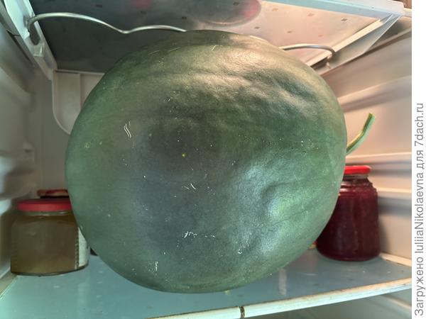 10,7 кг. Чтобы засунуть в холодильник пришлось снимать полки