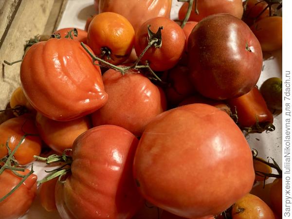 13.12.24. Всё ещё есть, что поесть😊