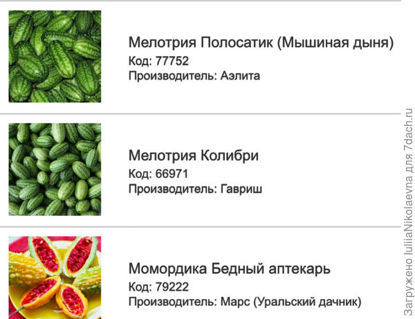 Мелотрия Кивано