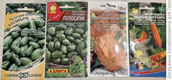 Вот такие красивые пакетики😊