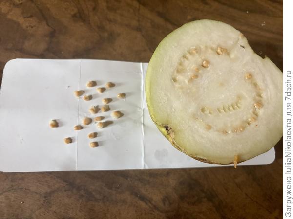 Семечко такое плотное, прямо каменное. Не смогла раскусить