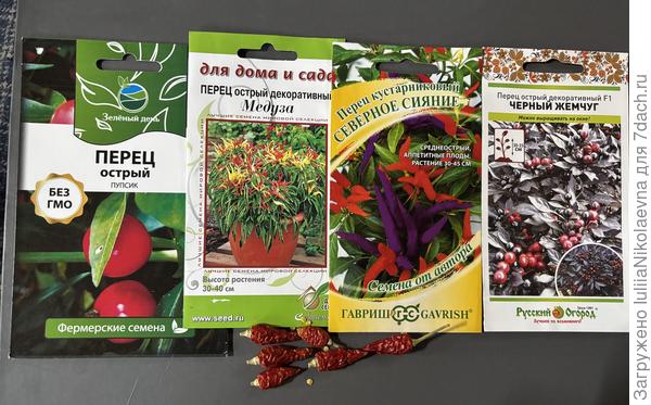 Эти пятеро будут расти в кашпо