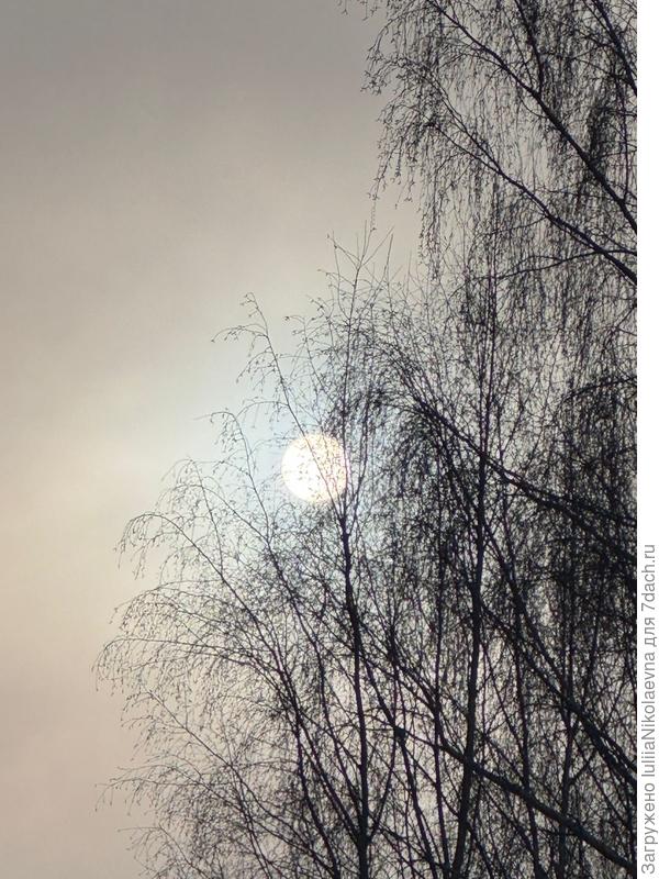 Странный «блин» в небе- Питерское солнце🤣