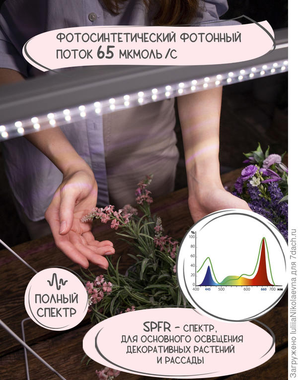 Фото с сайта продавца