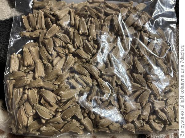 Мешочек с семенами. По виду вполне приличные.