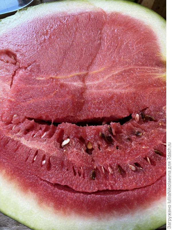 С одного корня 4 (вроде) плода более 10 кг!