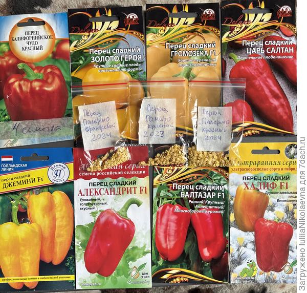 Планы на 2025