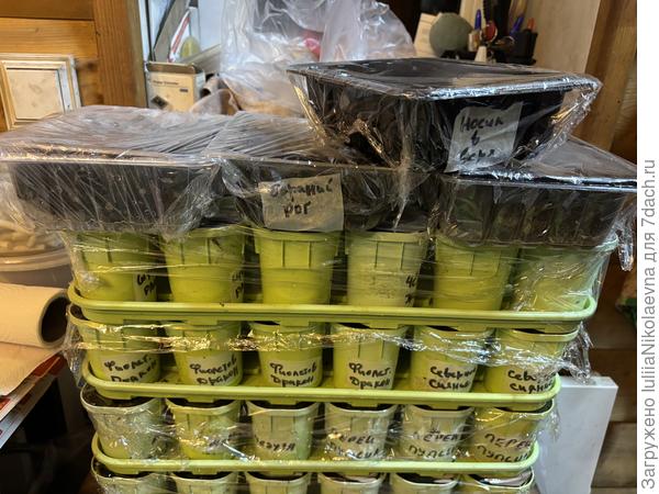 Цирк уехал, клоуны остались 🤡🤡🤡