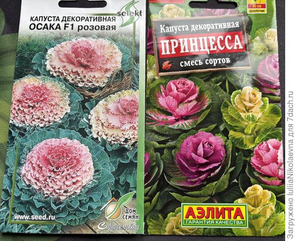 Правую заказывала через интернет