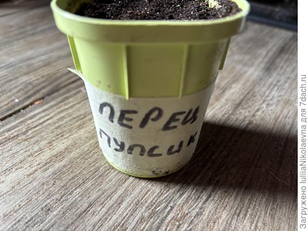 Я свои вот так подписываю. На малярном скотче. При перевалке эту подпись отклеиваю и на новый стаканчик прилепливаю.