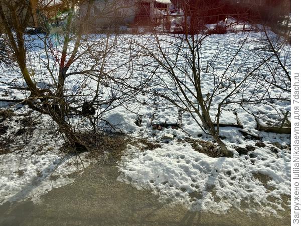 Вид со второго этажа на мой огородище