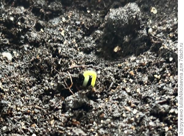 С почином меня😊