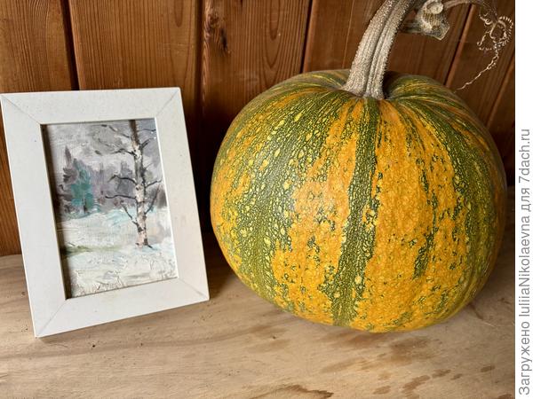 Эту принесли на Хелоуин и поставили на полочку под телевизор. Так и стоит до сих пор при комнатной температуре. В качестве консерванта - зимний пейзаж