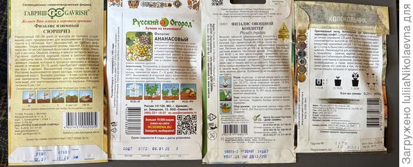 Оборотная сторона