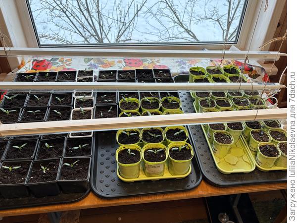 Немного остренького🤣