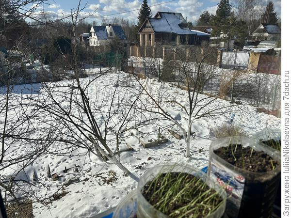 И лукам тоже полезно посмотреть😜