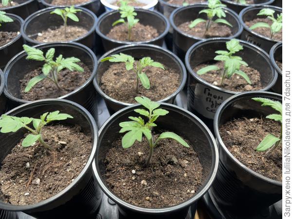 Вот так выглядят сегодня