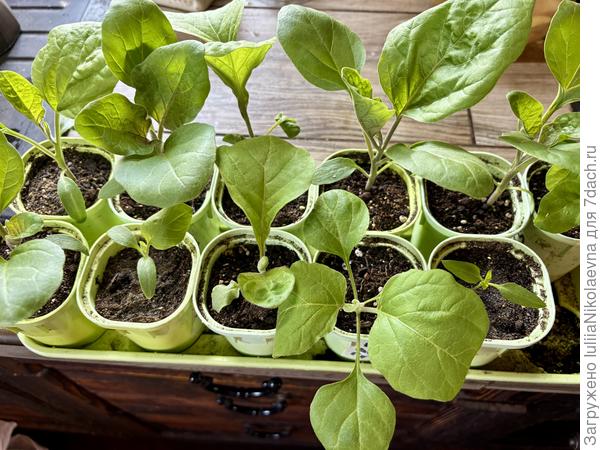 До перевалки