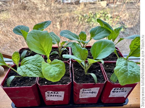 В новых квартирках