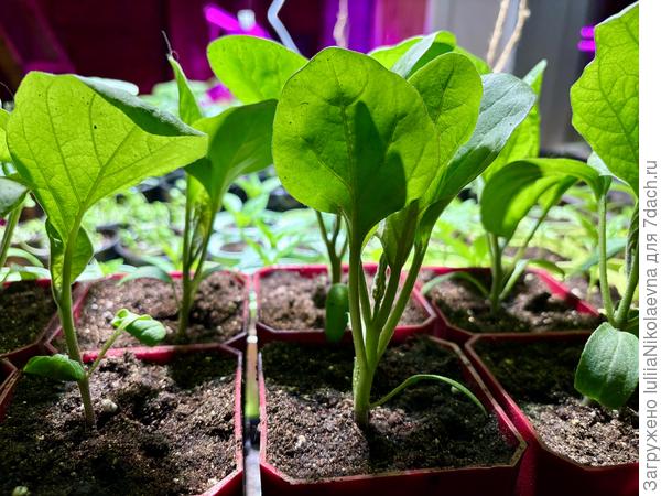 Отход ко сну😊