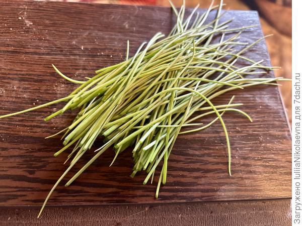 Первый урожай