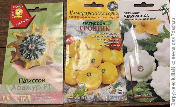 В прошлом году отдыхала от патиссонов, в этом году решила посеять. Все кустовые.