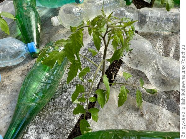 Вот, посмотри