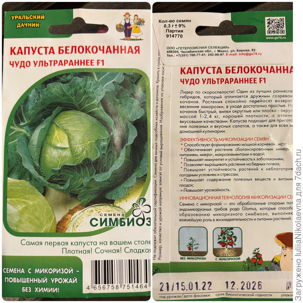 Капуста с микоризой. Даже не знаю откуда у меня взялся😊