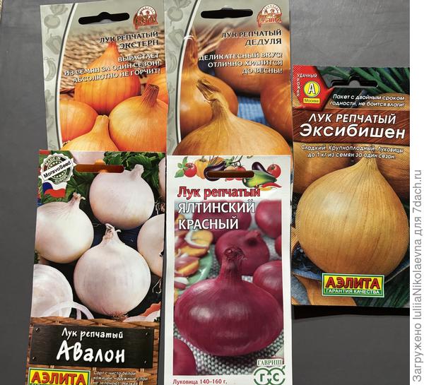 Посев 6 марта