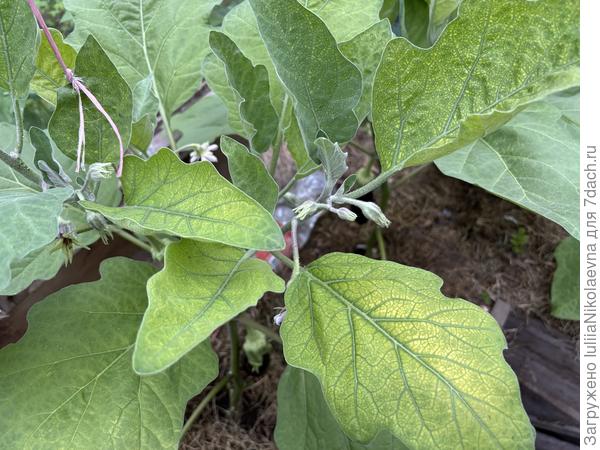 Вот такая беда резко приключилась