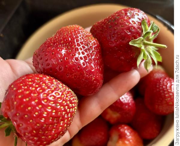 Красавица Кимберли