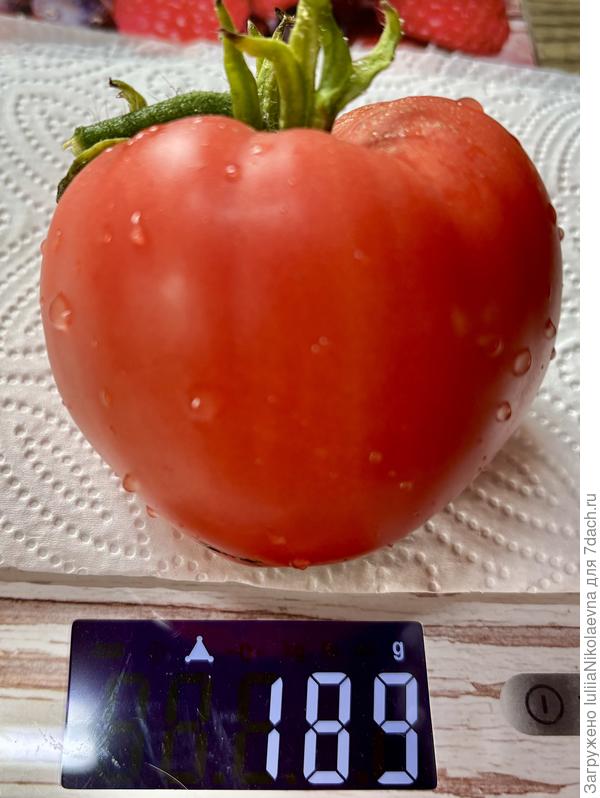 Вот он на весах. Те, что повыше висят- крупнее