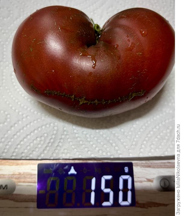 3 июля. Созрел Гном Пурпурное сердце