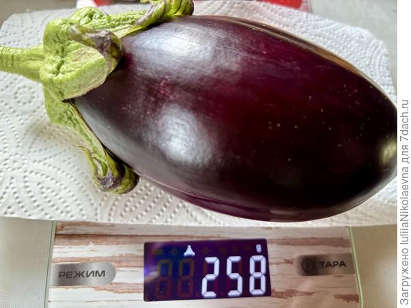 Красивый😊