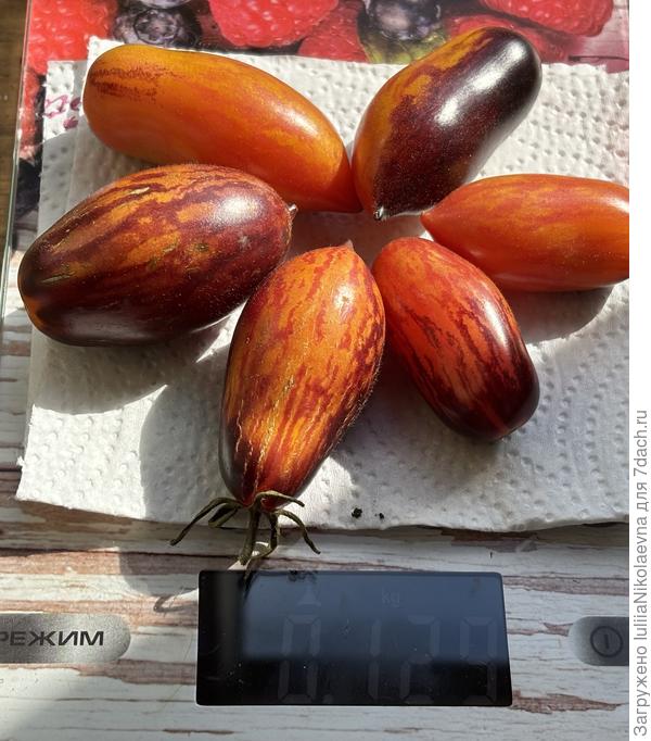 Созрела) Вкусная