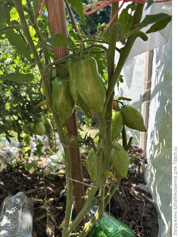 Сегодня выглядит вот так