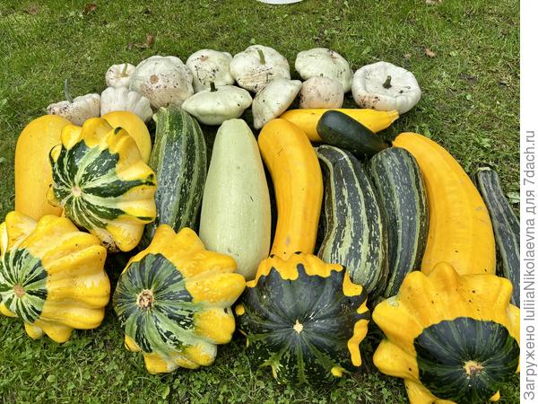 Вчерашний урожай