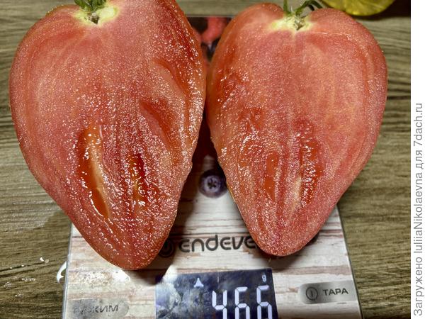 Древнее Сердце АквеТерме. Вот этот сняла сегодня к ужину на салат