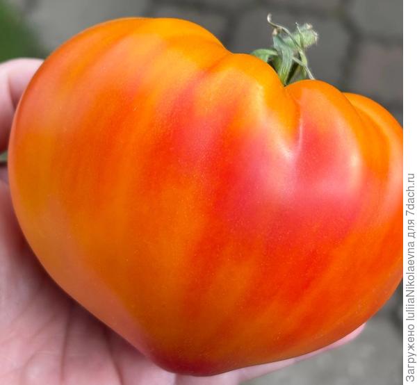 Это сердечко весом 330 грамм