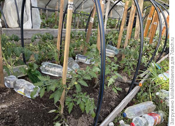 27 мая. Переехали на ПМЖ