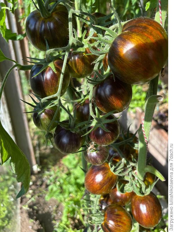 Атомный синтез