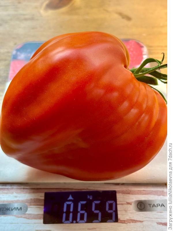 Древнее сердце