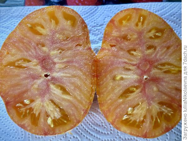 Он же на разрезе