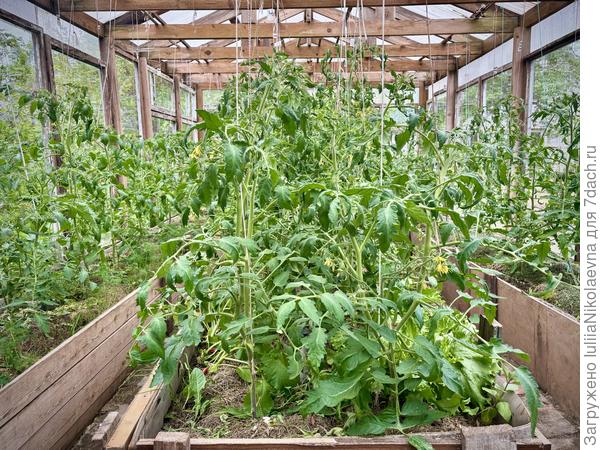 5 июня они выглядели так