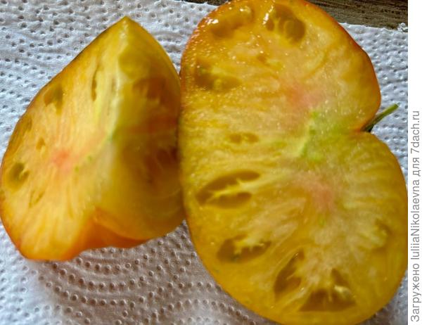 Мечта моей соседки