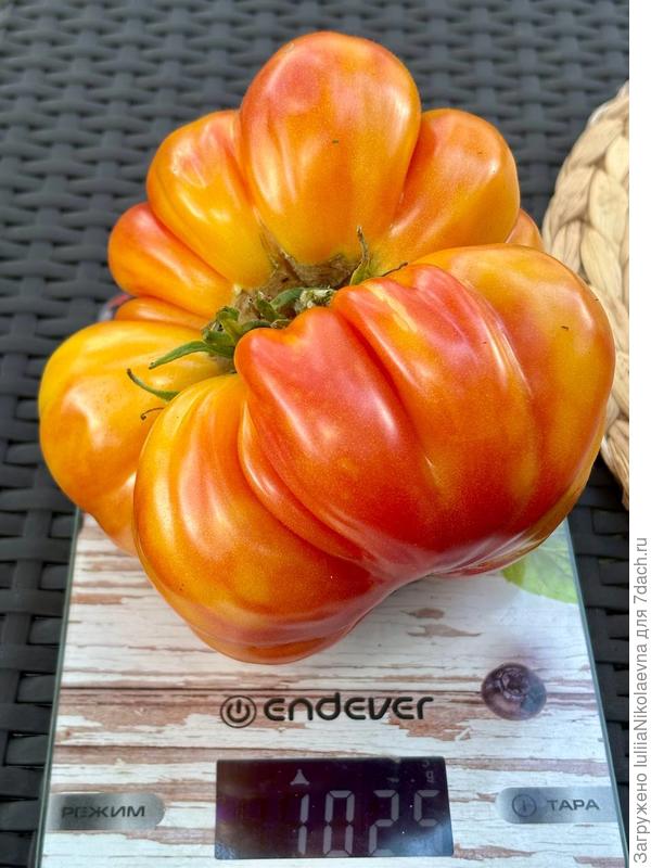 Килограммчик😊