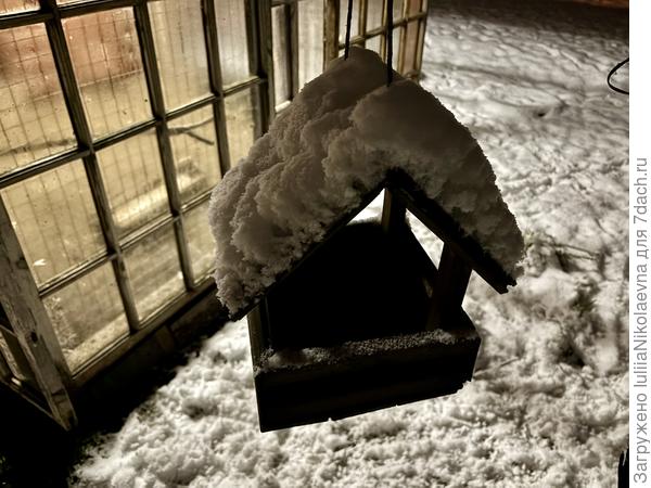 Кормушка на фоне курятника